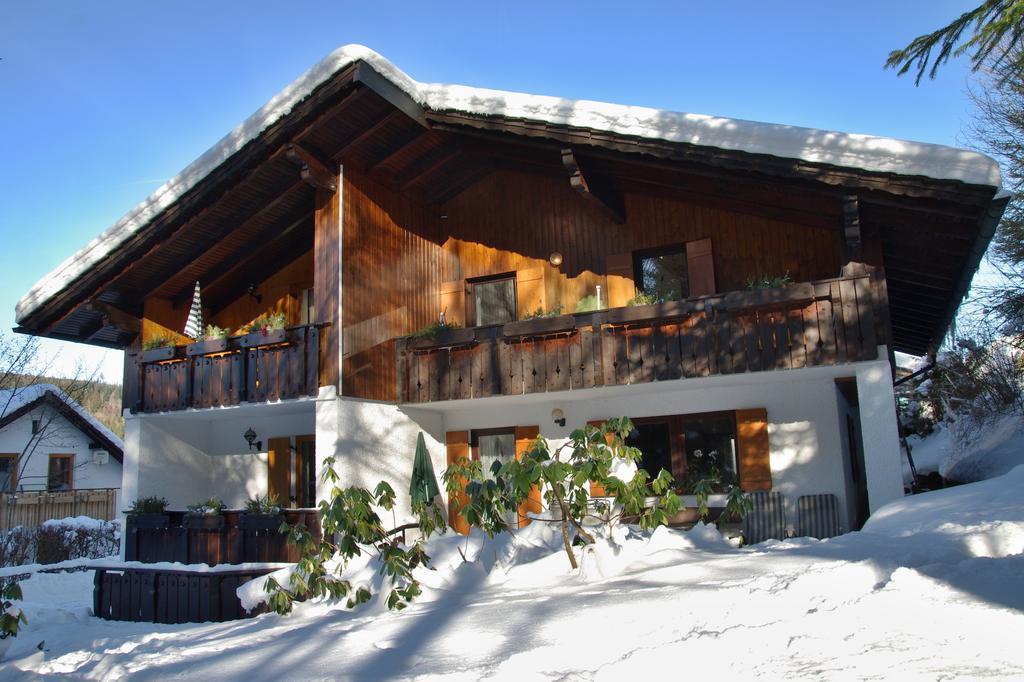 Apartments Haus Martin Байериш-Айзенштайн Экстерьер фото